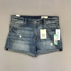 Stitch Fix Shorts - Stitch Fix Cosmic Blue Love Distressed Shorts 30 Stitch Fix Shorts - Stitch Fix Cosmic Blue Love Distressed Shorts 30
